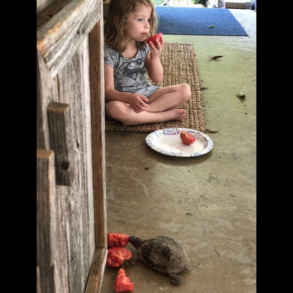 little girl and turtle eating tomatoes together