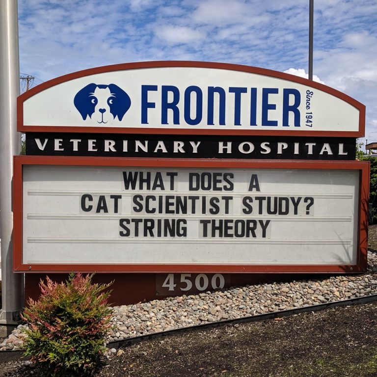theory 