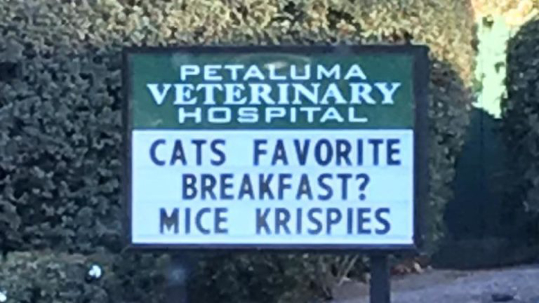 krispies 