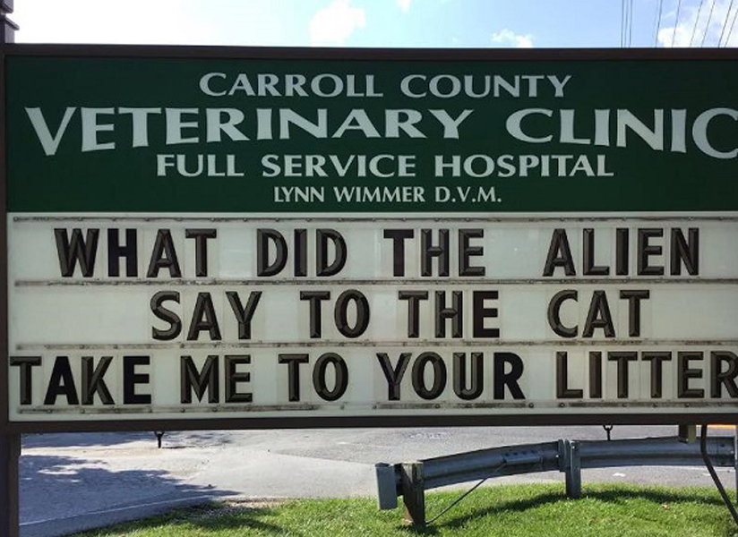 the vet 