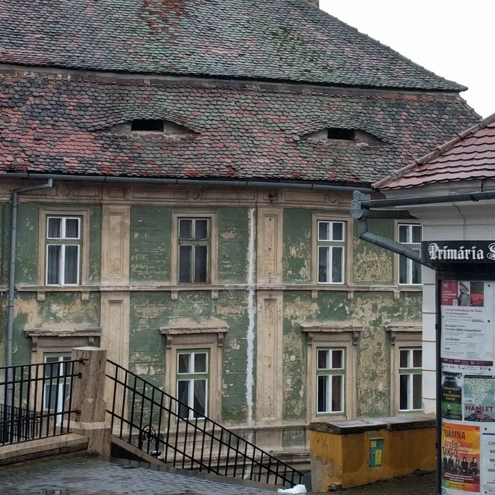 roof of a house that looks like it has eyes