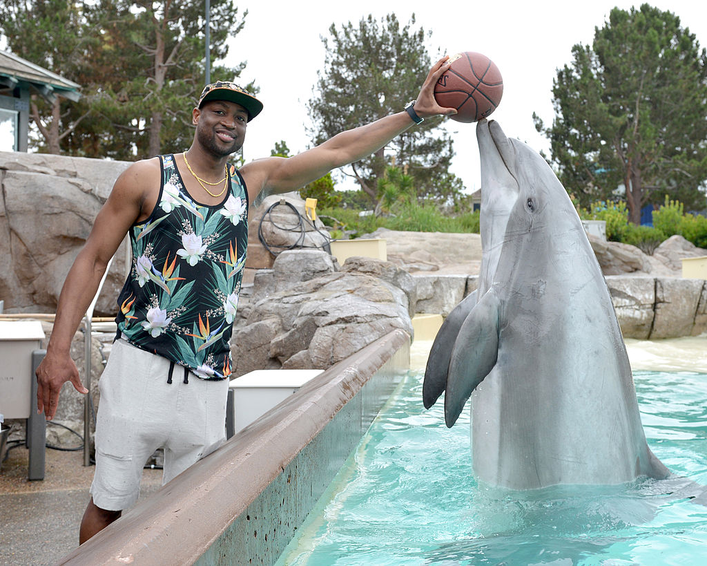 Dwyane Wade with dolphin 