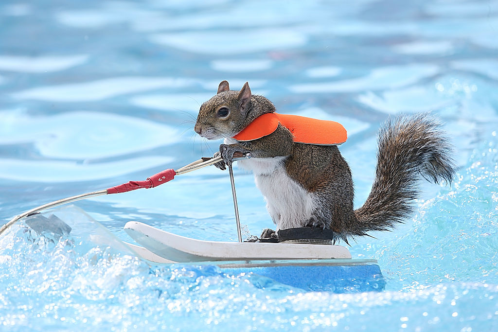 GettyImages-538211958