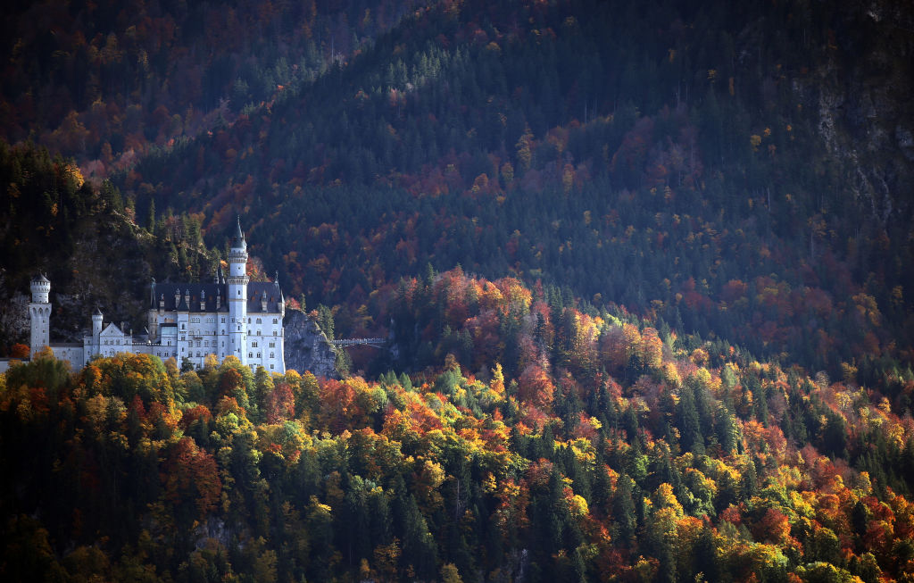 Neuschwanstein Castle surrounded by colorful trees