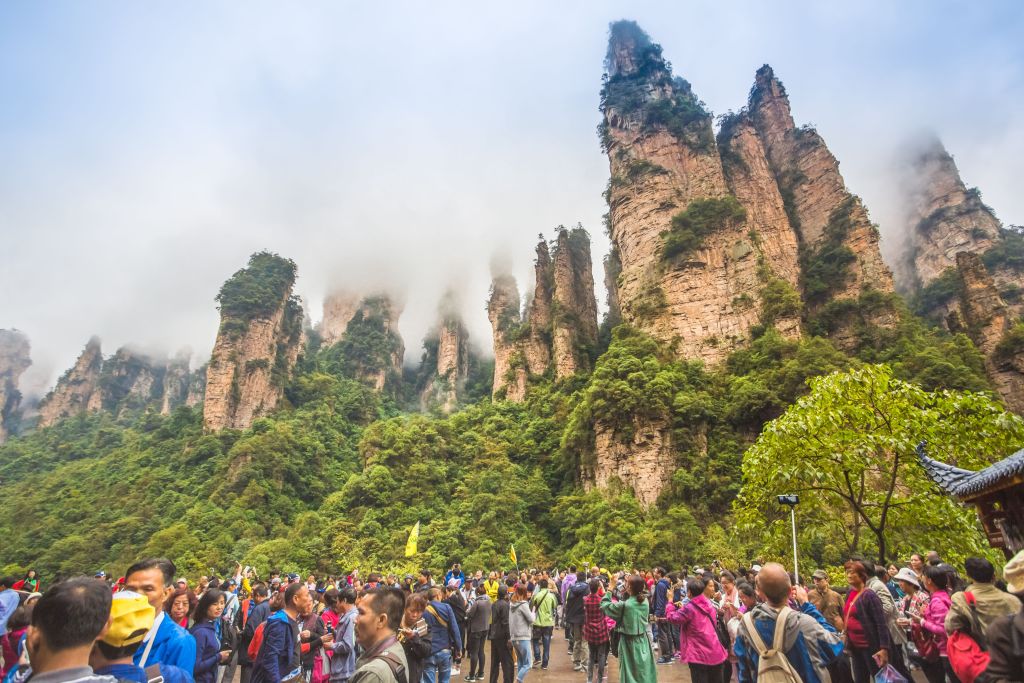 towering trees on cliffs in the Zhangjiajie National Forest Park with tourists standing below