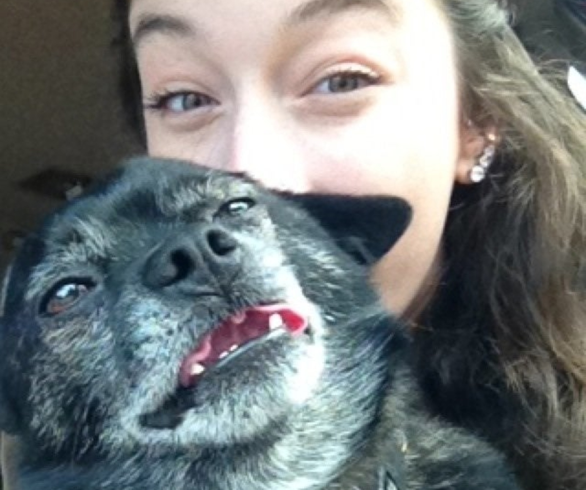 dog looking tired and cranky