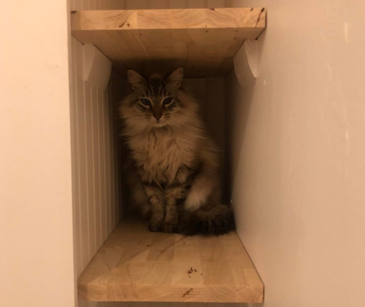 new shelves in the bathroom