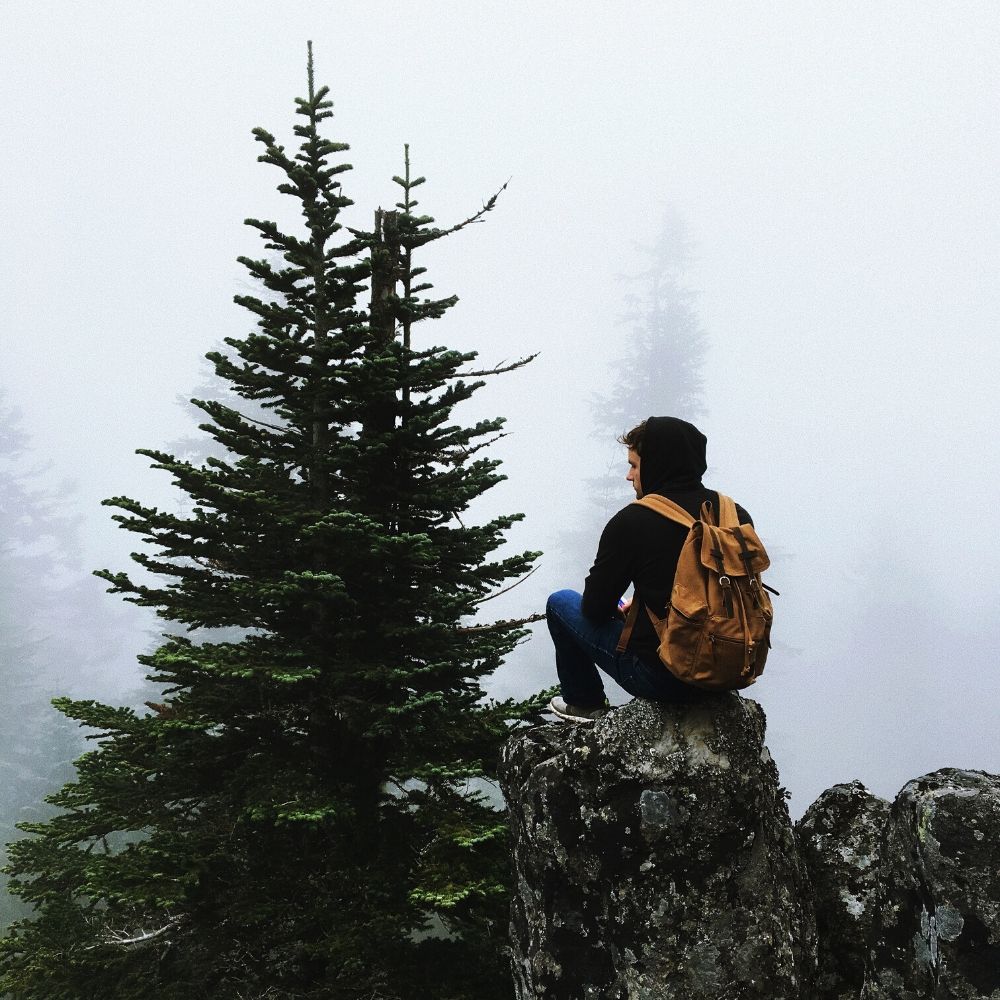 boy sitting alone on rock with trees and fog