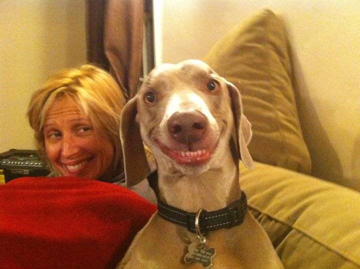 dog slightly smiling