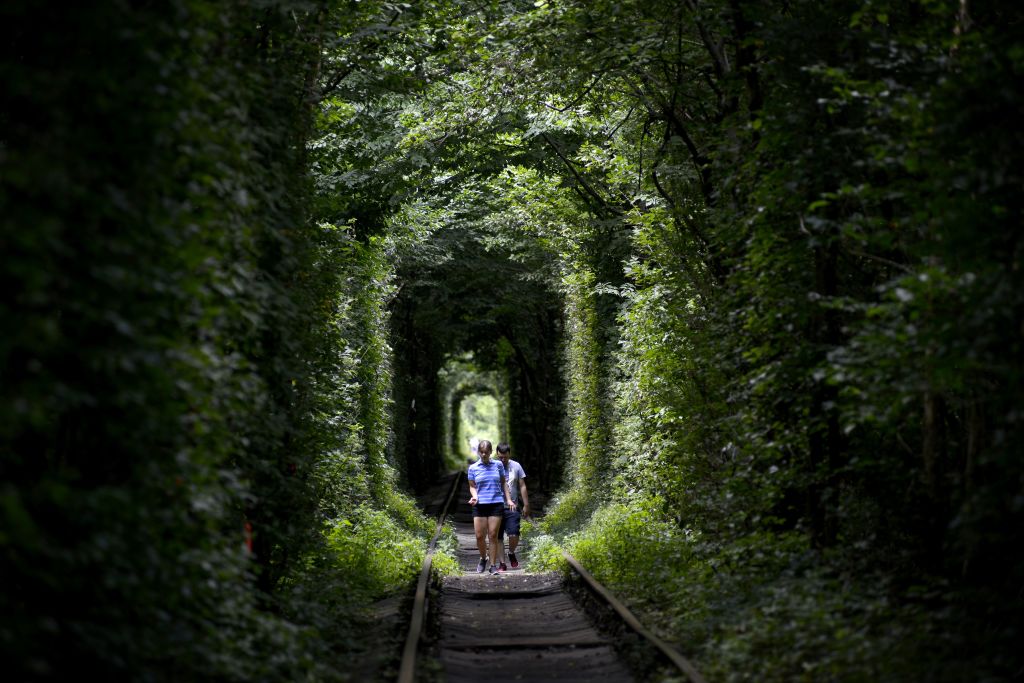 two people walking under trees that form a tunnel around railroad tracks called the tunnel of love