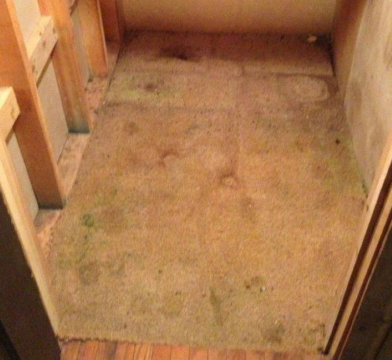 The Carpet Was Covering Something