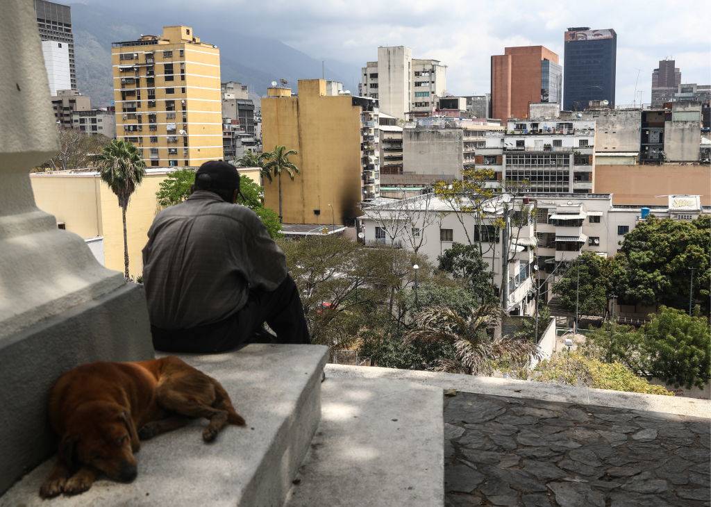 a man and a dog sitting near buildings in Caracas, Venezuela