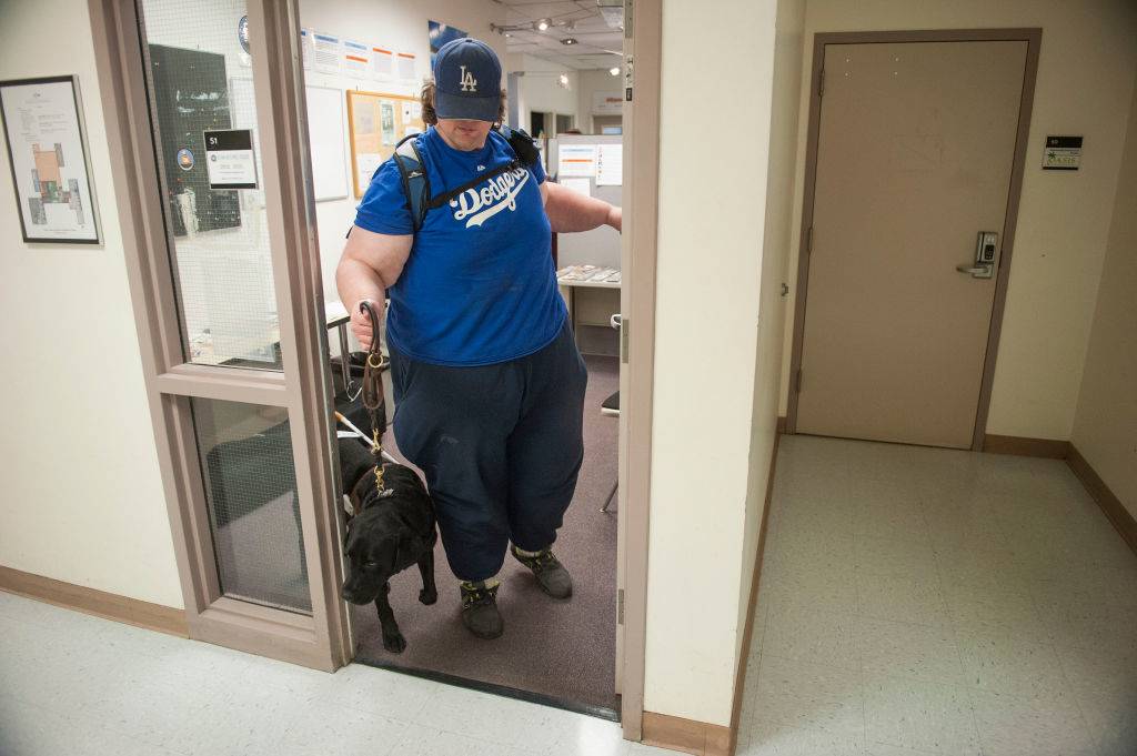 The Dogs Sometimes Disobey Their Owners