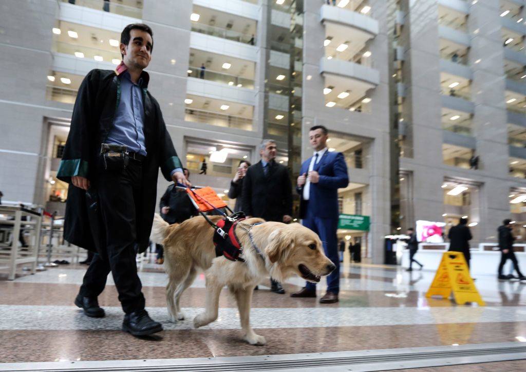 Trainers Spend Years Learning The Ropes