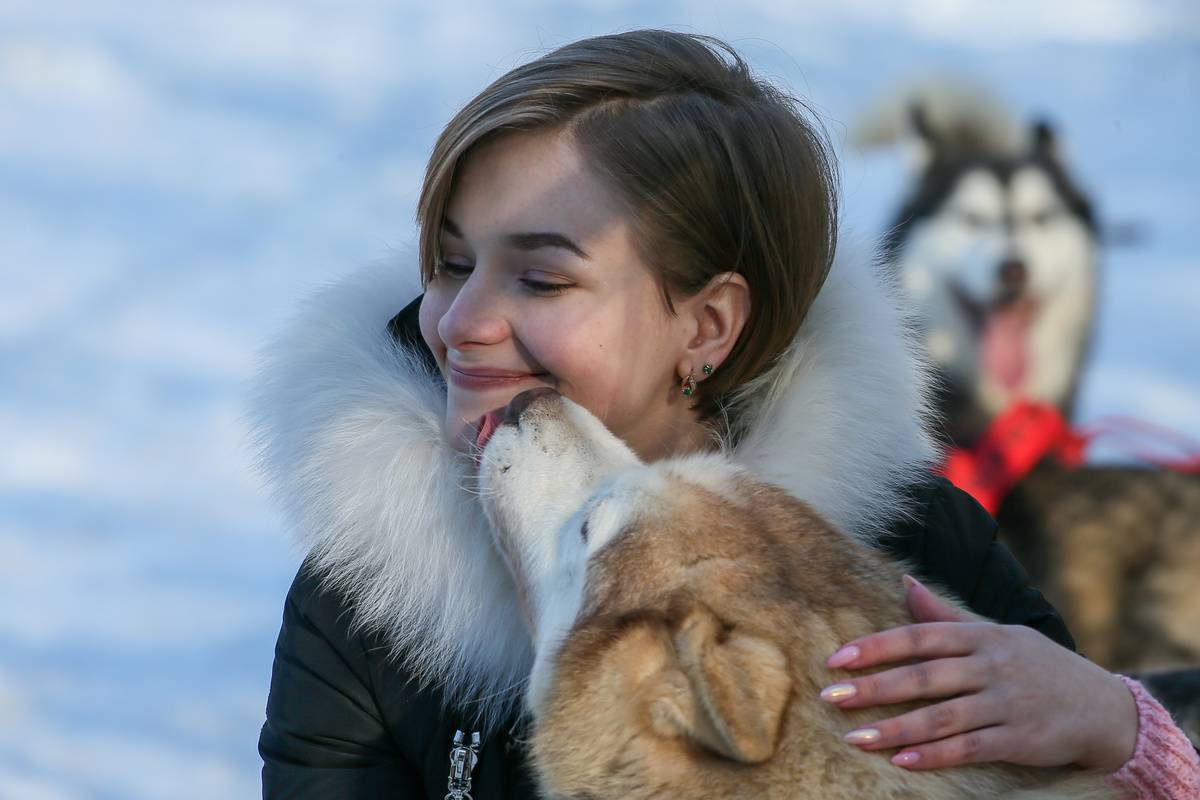 A woman's Husky licks her face.
