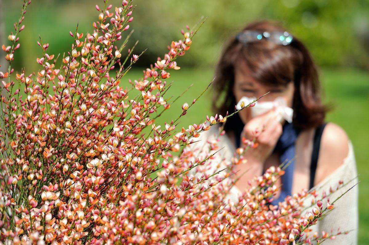 A woman blows her nose behind a large plant.