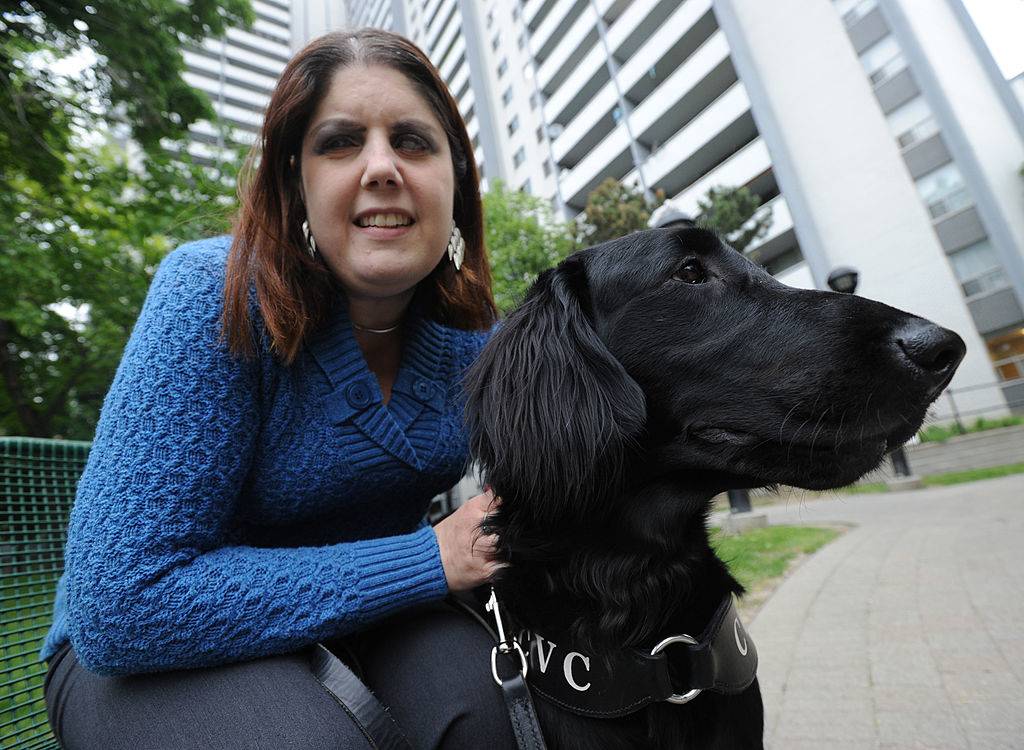 Dogs Have The Ability To Keep An Eye Out For Above Ground-Level Obstacles, Too