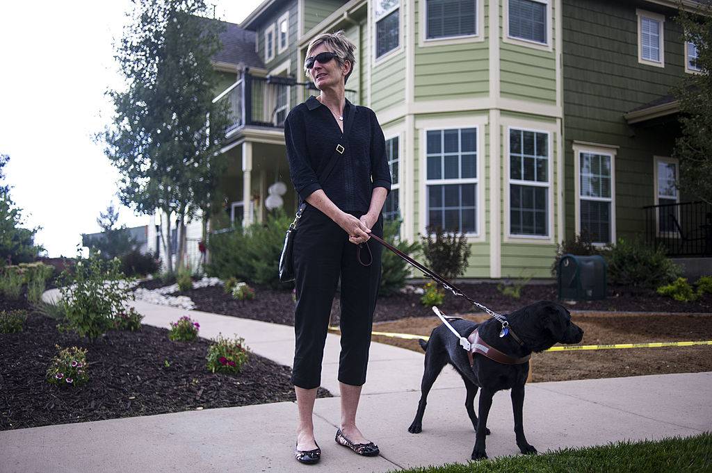 Seeing Eye Dogs Became A Necessity During World War I