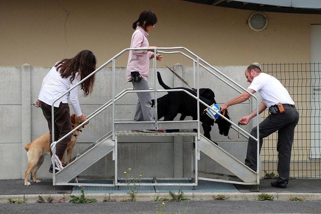 GettyImages-606084048