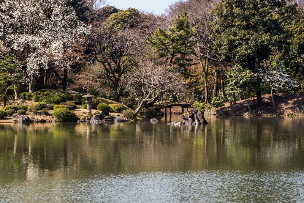 GettyImages-667143240