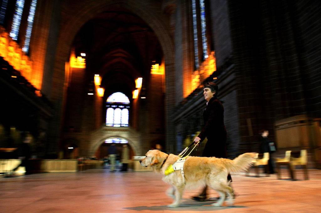 The Dogs Provide A Lot Of Independence