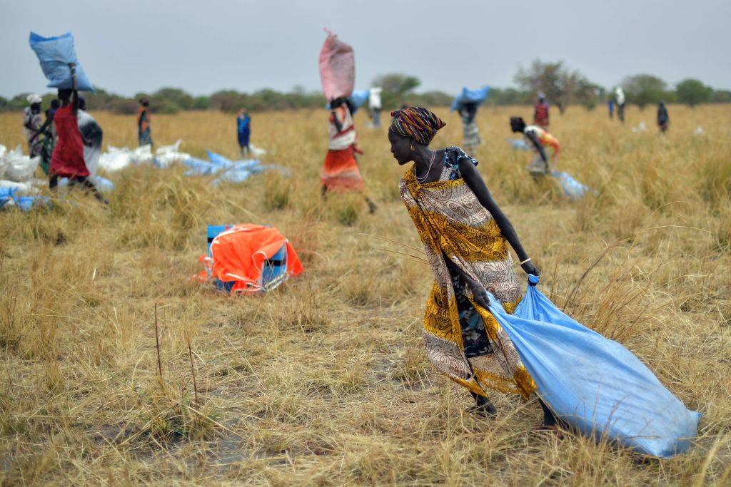 people collecting food that's been air dropped in Juba, South Sudan