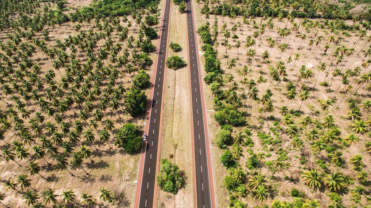 an aerial view of many palm trees and an open road in acapulco, mexico