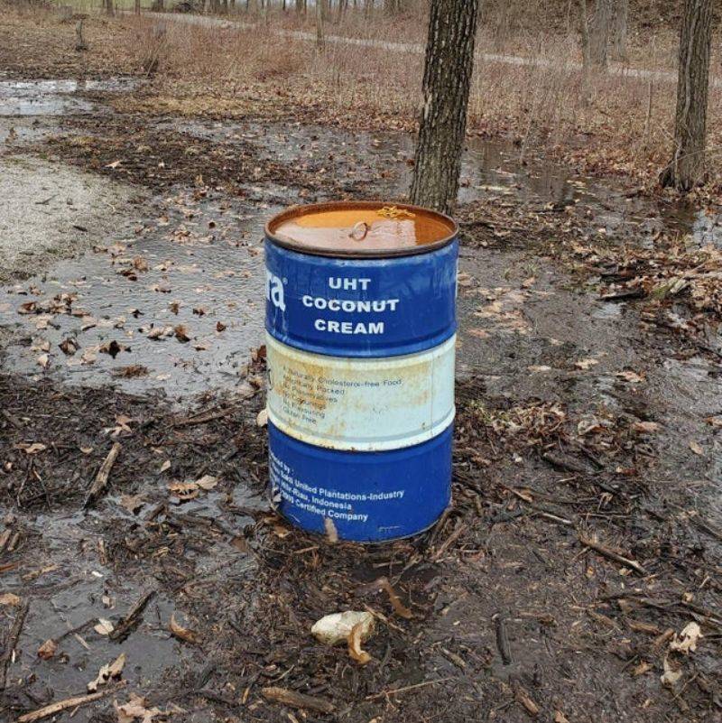 coconut cream in the woods