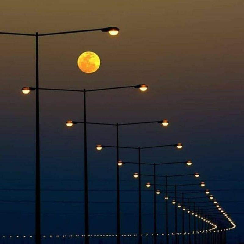 street lights perfectly line up