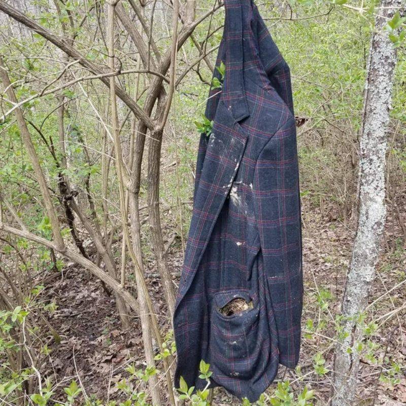 a coat left in the woods with a bird nest in it 