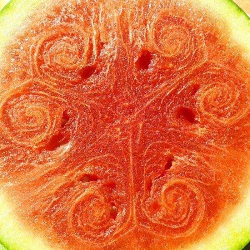 inside of a watermelon has an interesting design