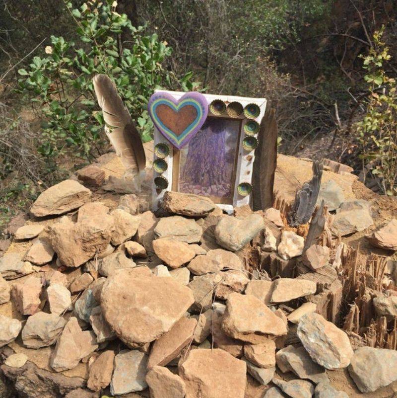 a kid made a memorial for a tree that got cut down