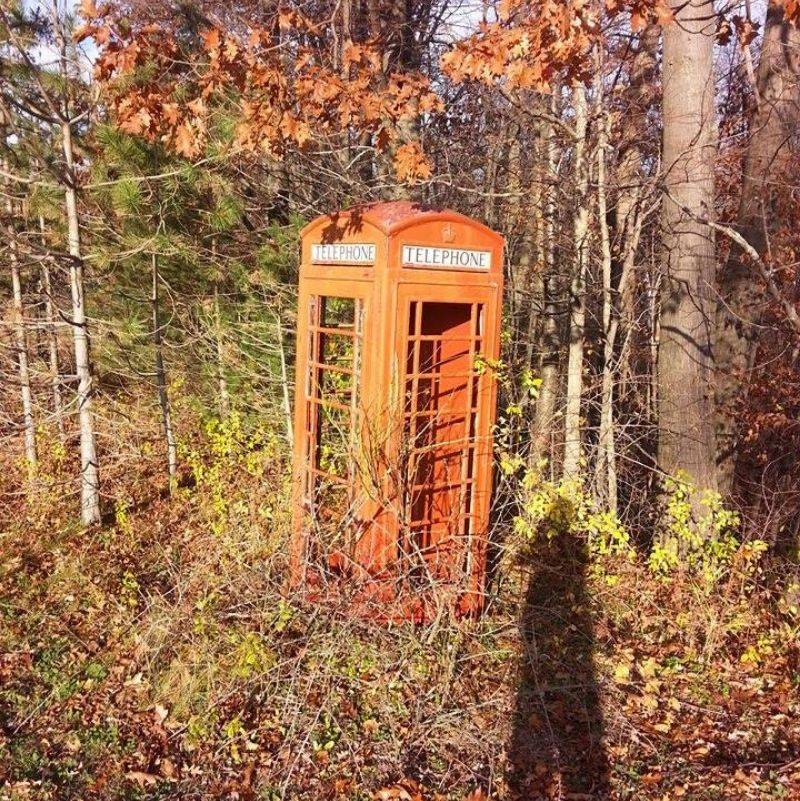 a telephone booth in the woods 