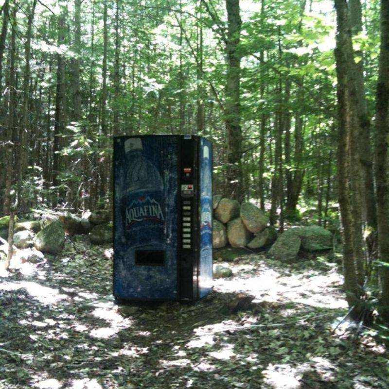a vending machine in the middle of the forest