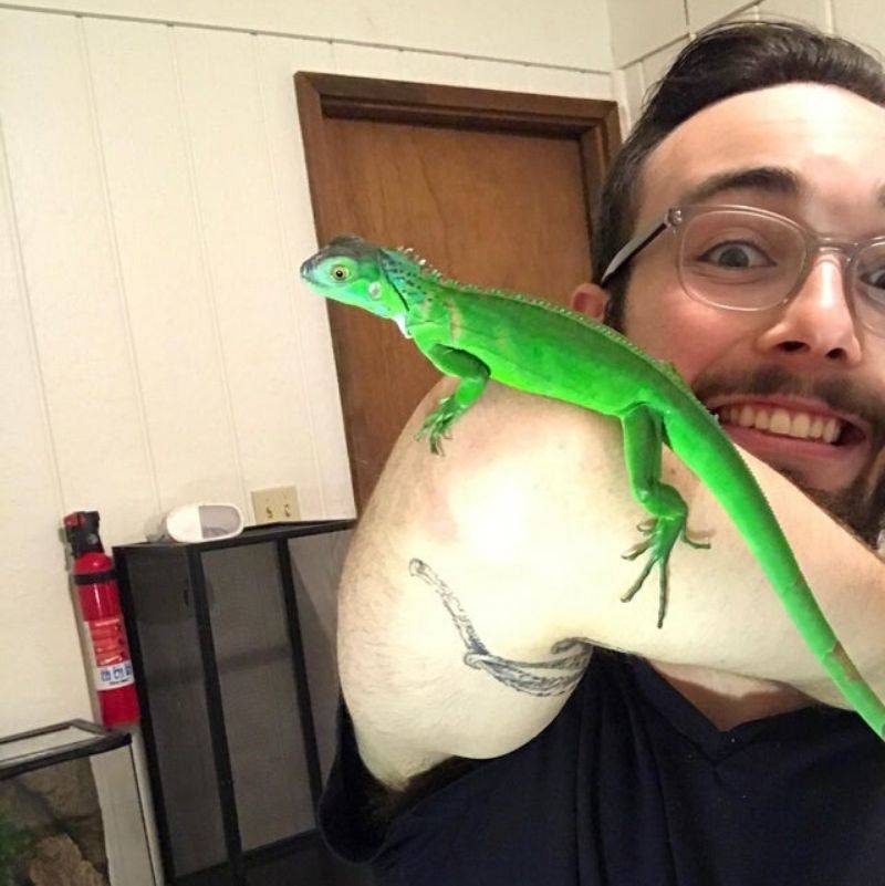 a lizard looks photishopped