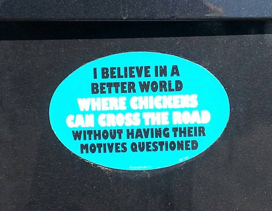 chicken cross the road bumper sticker