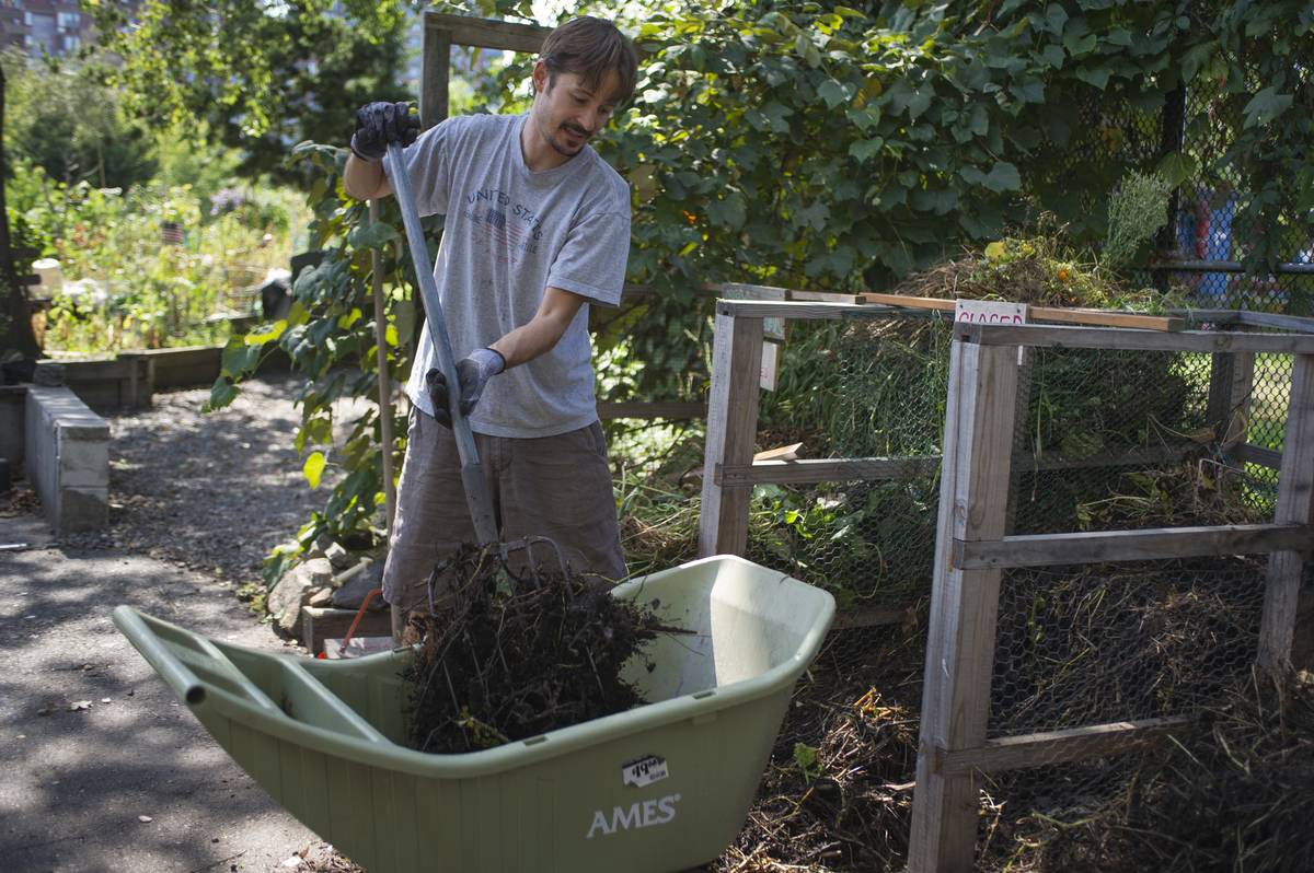 A man spreads comfort over a community garden.