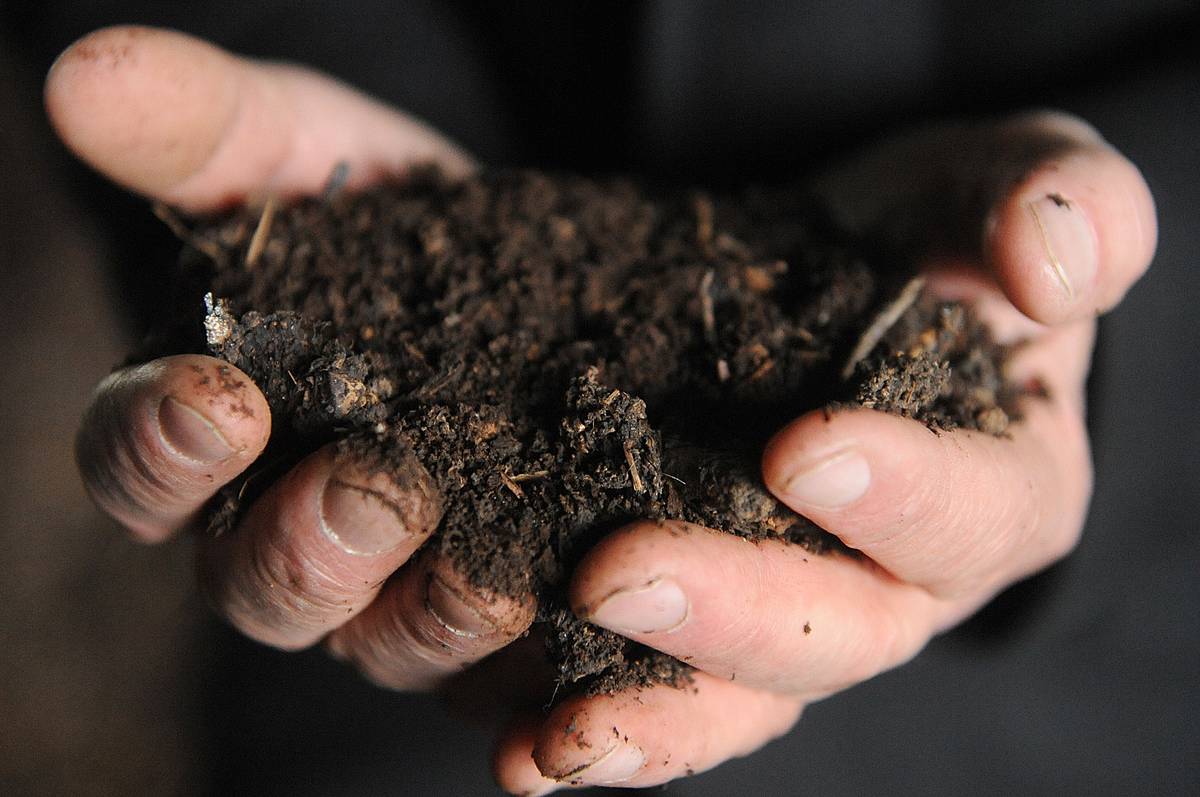A man holds natural fertilizer.