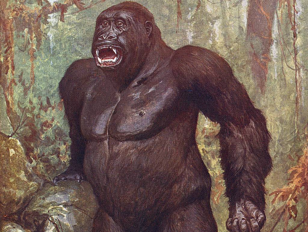 Painting of a gorilla 