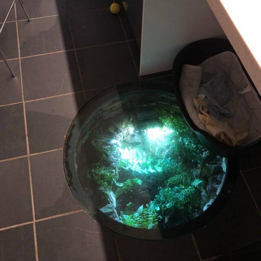 glassed-over well in kitchen reveals lagoon underneath