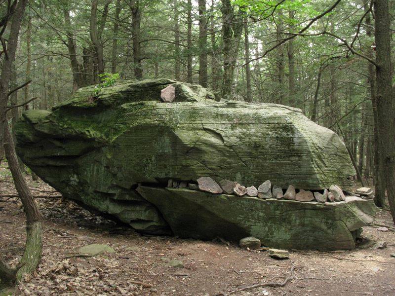 someone made a rock look like a dino