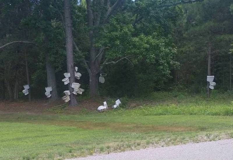 toilets hanging from trees 
