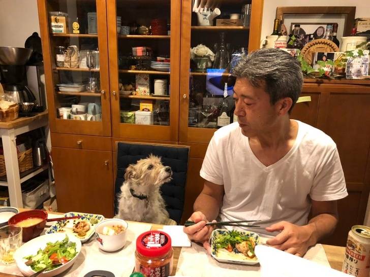 15302127-d5h6cd9idys41-1587396939-728-9e1aff65d5-1589273998