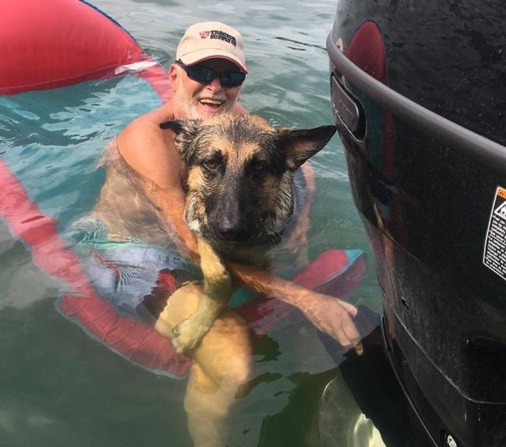 15302139-image-crop-640x566-1587500198-728-aef7032959-1589273998