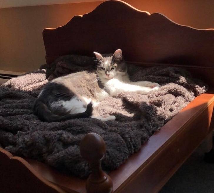 15302141-image-crop-640x576-1587497327-728-2d24e81a83-1589273998