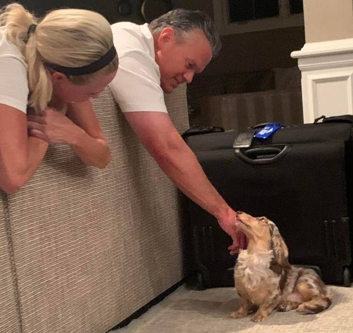 15302144-image-crop-640x605-1587498323-728-71633779fa-1589273998