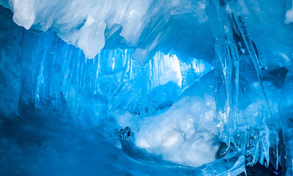 Aaron Curtis And A Team Of Scientists Set Out To Learn More