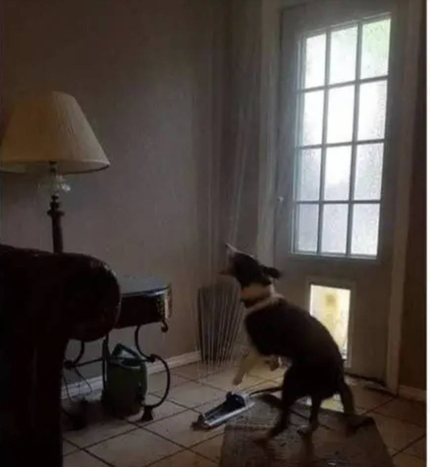 2020-05-20 21_45_59-If You Think You're Having A Bad Day, Just Look At These 19 People