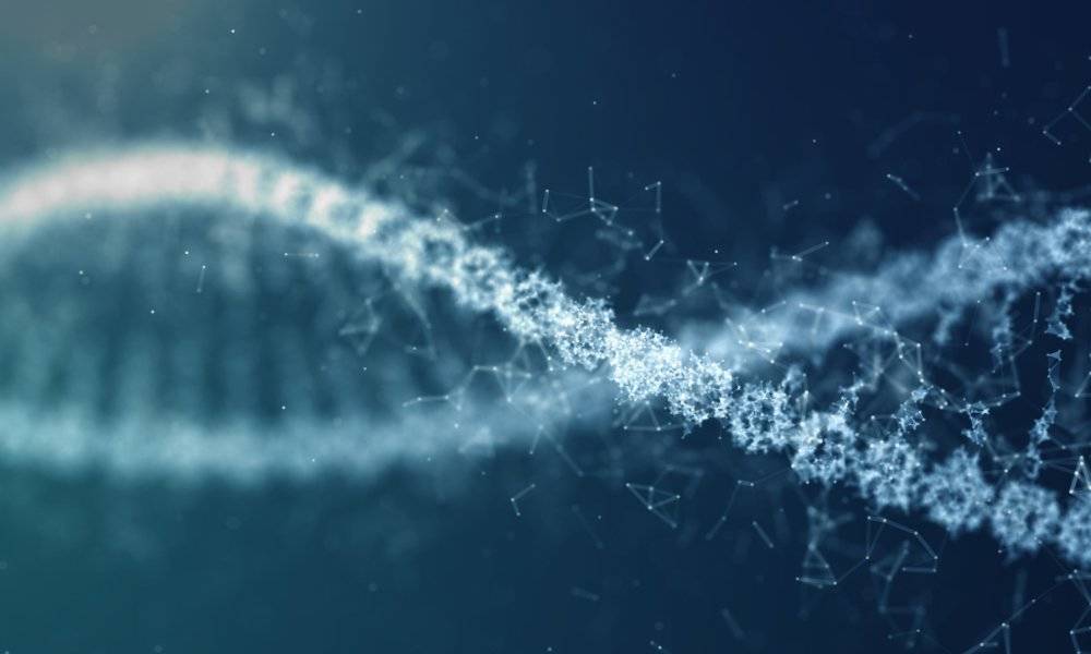 The DNA Samples Were Completely New