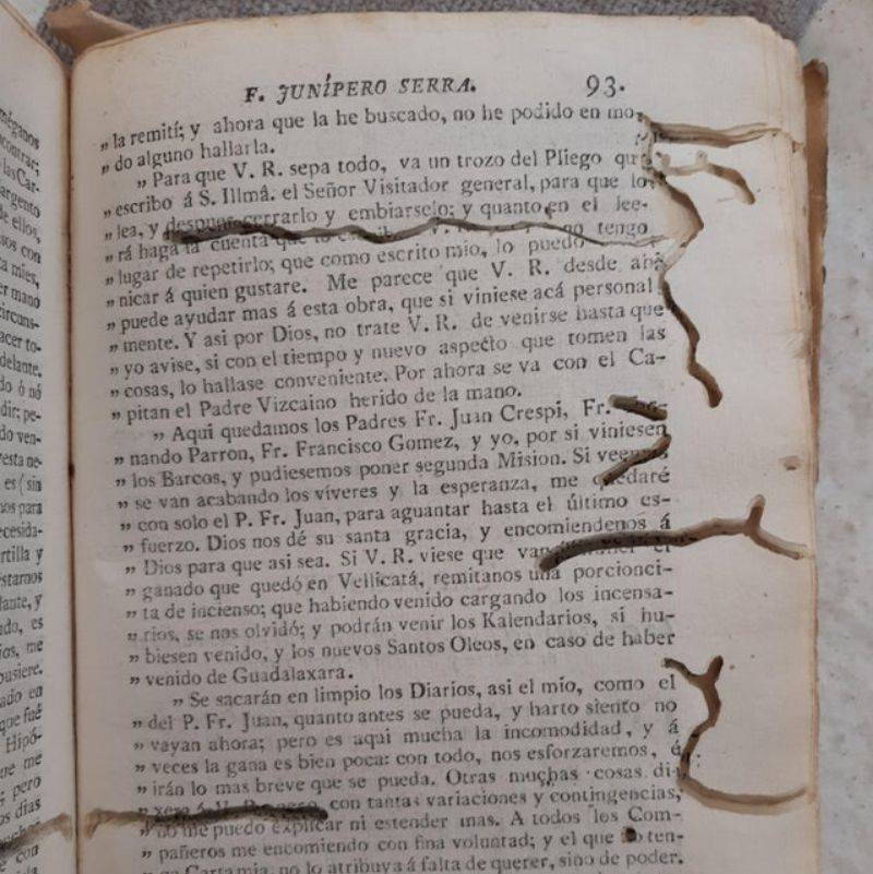 bookworms that ate a book